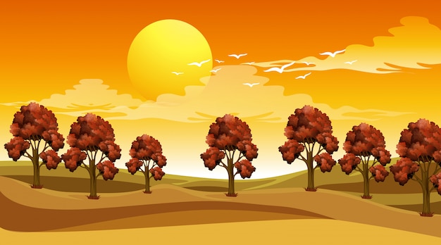 Vecteur gratuit scène avec des arbres dans le champ au coucher du soleil