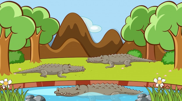 Vecteur gratuit scène avec des crocodiles dans l'étang