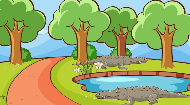 Scène Avec Des Crocodiles Dans Le Parc