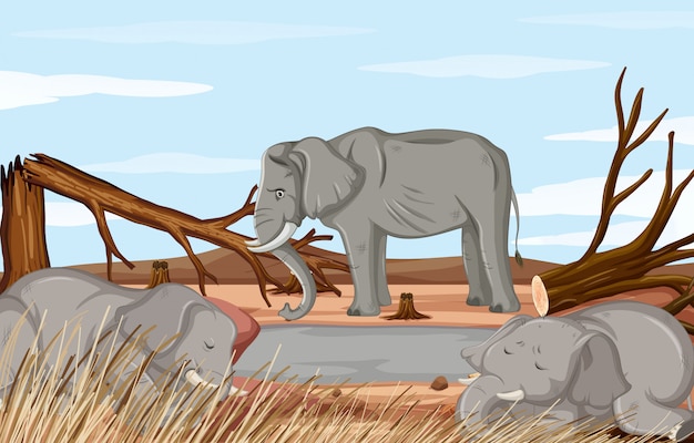 Scène de déforestation avec éléphant mourant
