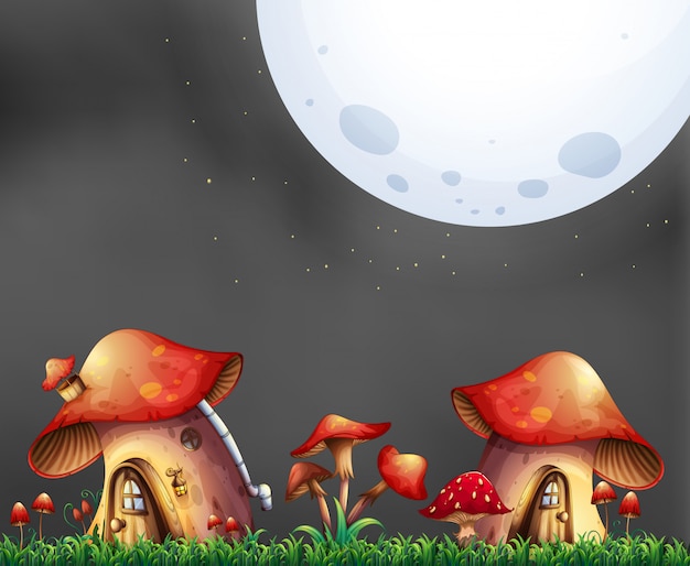 Scène avec deux maisons de champignons la nuit