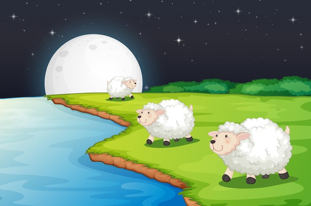 Vecteur gratuit scène de ferme avec des moutons mignons et au bord de la rivière la nuit