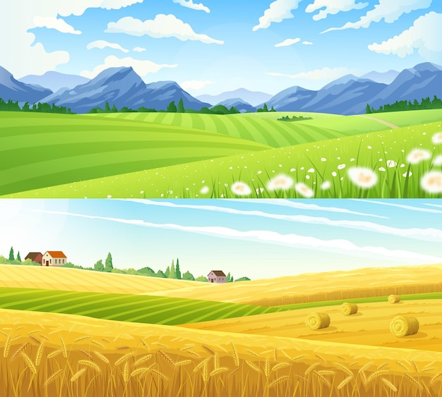 Vecteur gratuit scène de ferme paysage rural d'été ensemble de deux bannières horizontales avec paysage panoramique d'illustration vectorielle de terres de blé