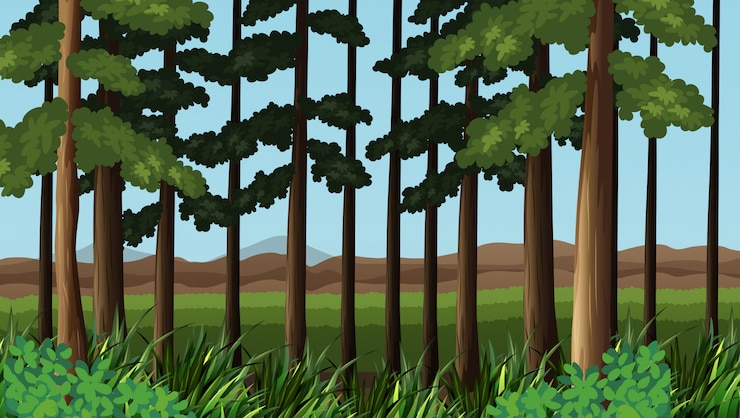 Vecteur gratuit scène de forêt avec arbres et champ