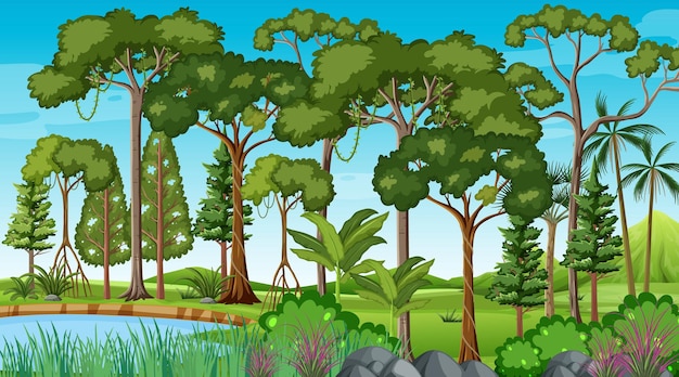Scène de forêt avec étang et nombreux arbres