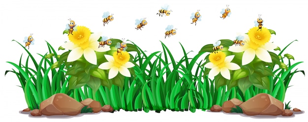 Scène De Jardin Avec Des Fleurs Et Des Abeilles