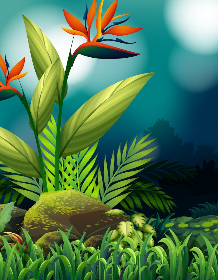 Vecteur gratuit scène de la nature avec oiseau de paradis dans le jardin