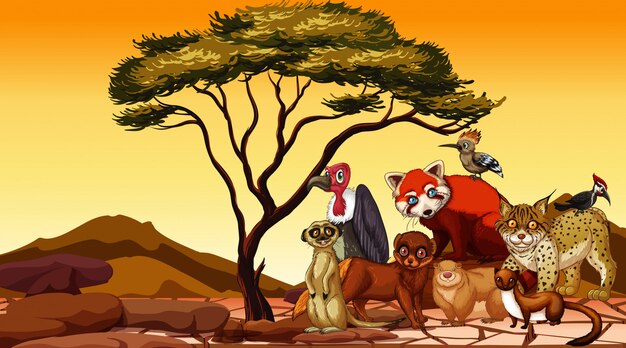 Scène avec de nombreux animaux africains sur la terre ferme