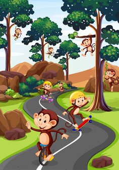 Scène de parc avec des singes faisant différentes activités