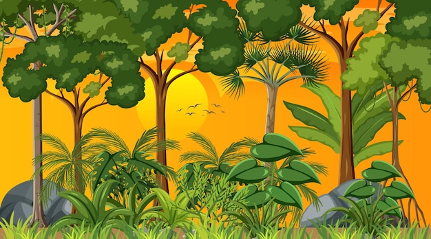 Vecteur gratuit scène de paysage forestier au coucher du soleil