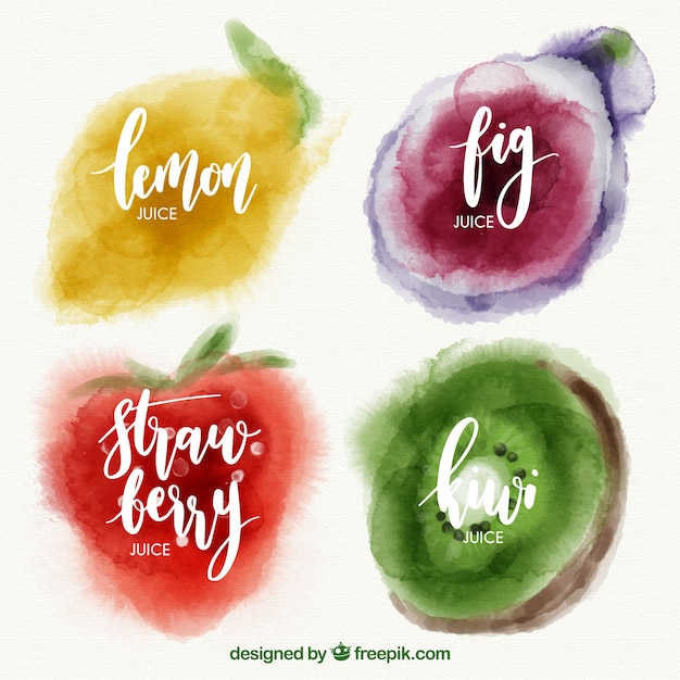 Vecteur gratuit sélection aquarelle de quatre fruits