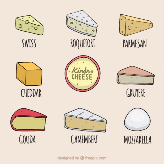 Vecteur gratuit sélection de fromages délicieux