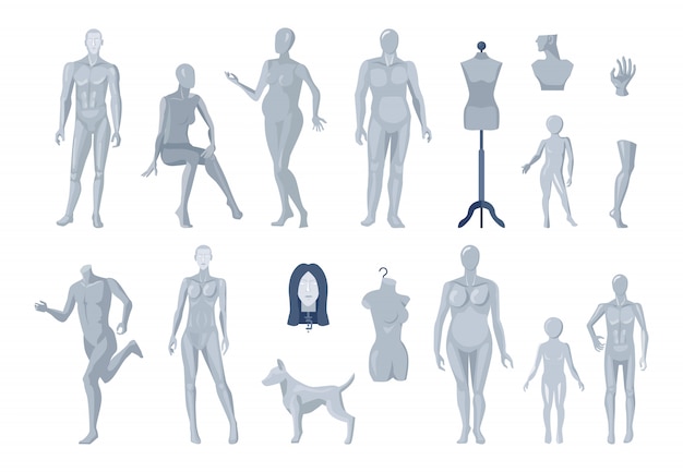 Sélection de mannequins de vitrine et de tailleur