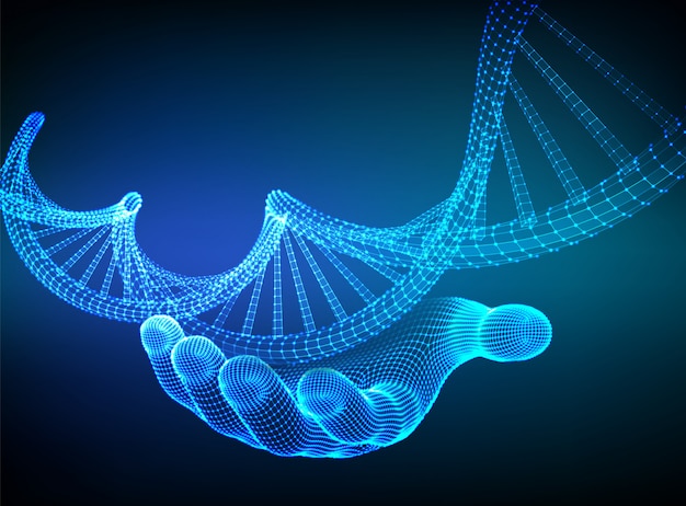 Séquence d'ADN en main. Filtrer les molécules du code de l'ADN structure maillage.