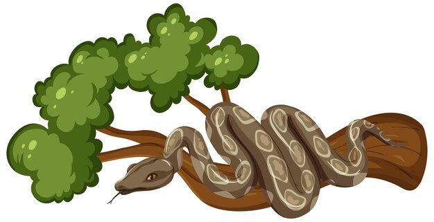 Serpent sur une branche isolé sur fond blanc