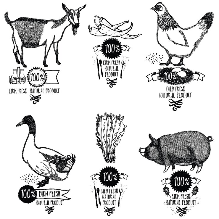 Set Farm Fresh Produit naturel Poulet Goat Duck Pig