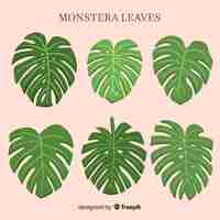 Vecteur gratuit set de feuilles d'aquarelle monstera