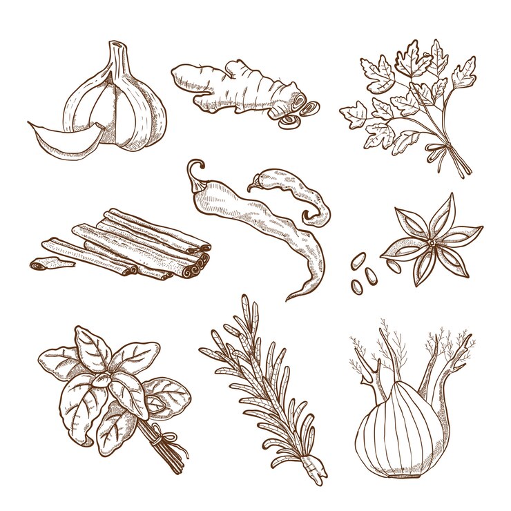 Vecteur gratuit set d&#39;herbes et d&#39;épices dessinés à la main