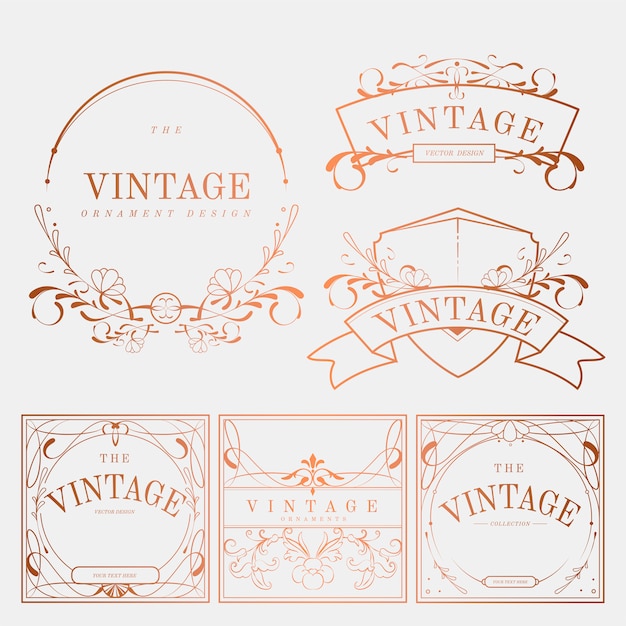 Set De Vector Luxueux Vintage Art Nouveau Insigne