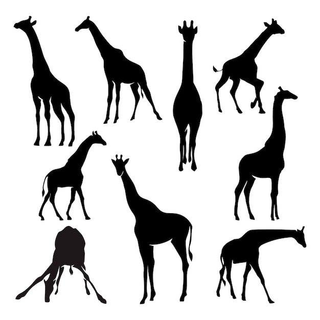 Vecteur gratuit silhouette animale dessinée à la main