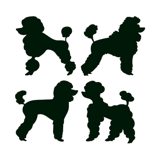 Vecteur gratuit silhouette de caniche design plat