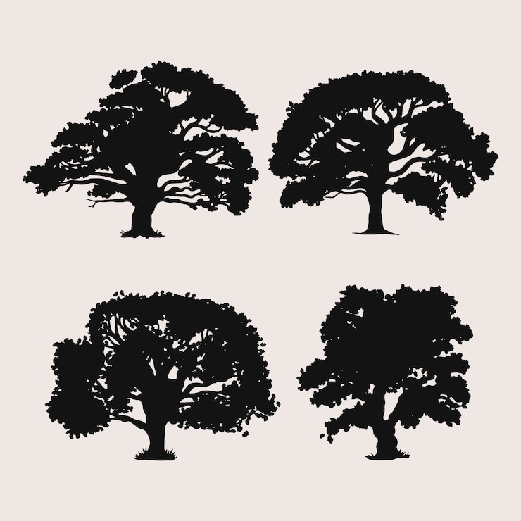 Vecteur gratuit silhouette de chêne dessinée à la main