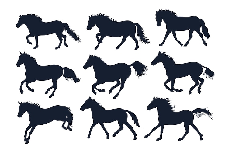 Vecteur gratuit silhouette de cheval de course dessiné à la main