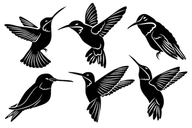 Vecteur gratuit silhouette de colibri dessiné à la main