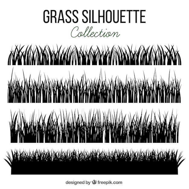 silhouette collection herbe