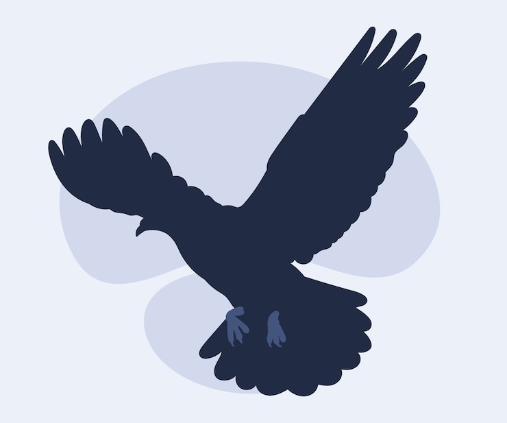 Vecteur gratuit silhouette de colombe volante dessinée à la main