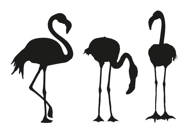 Vecteur gratuit silhouette de flamant rose dessiné à la main