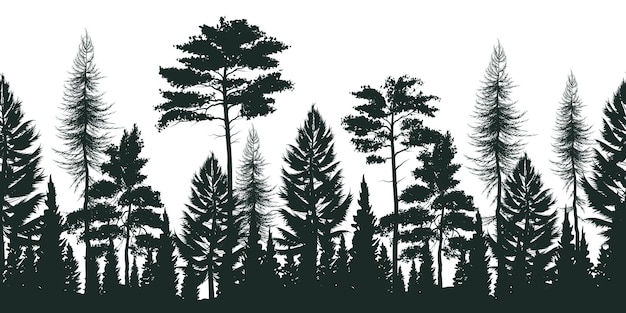 Images Foret Vecteurs Photos Et Psd Gratuits