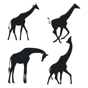 Vecteur gratuit silhouette de girafe dessinée à la main