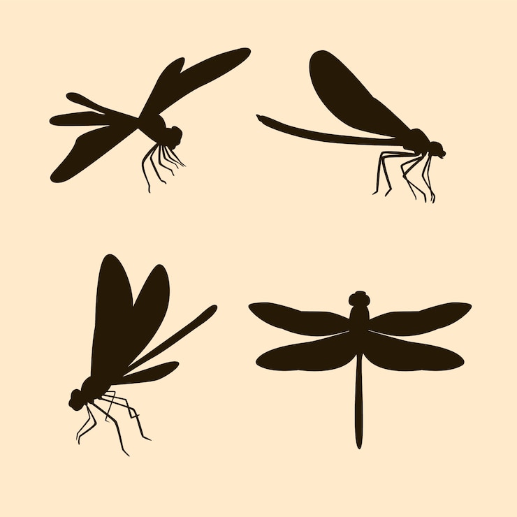 Vecteur gratuit silhouette de libellule dessinée à la main