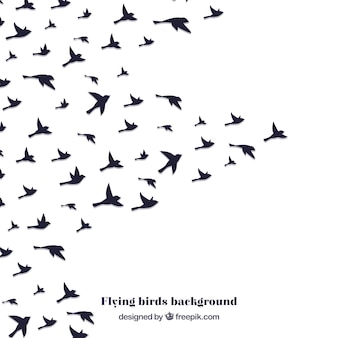 Vecteurs Silhouette Oiseau Gratuits 4 000 Illustrations Format Ai Eps Vecteurs Silhouette Oiseau Gratuits 4 000 Illustrations Format Ai Eps