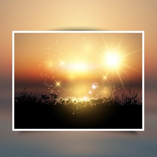 Vecteur gratuit silhouette d&#39;un paysage herbeux contre un ciel coucher de soleil