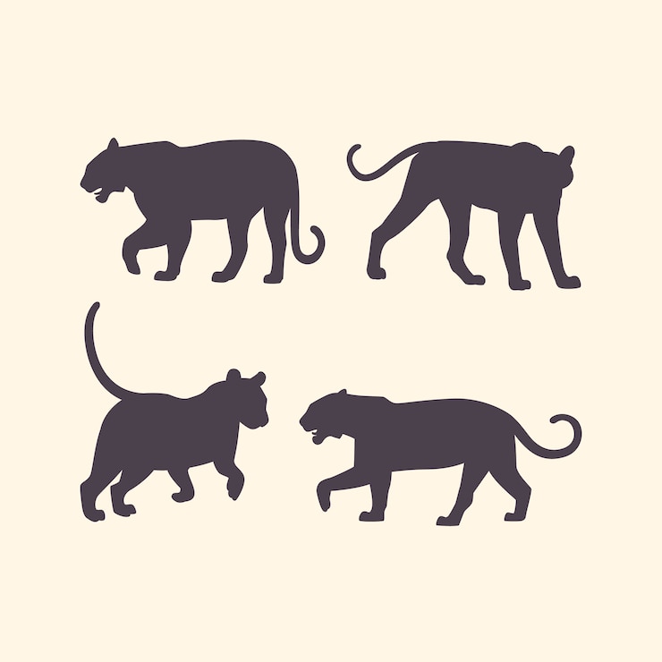 Vecteur gratuit silhouette de tigre dessiné à la main