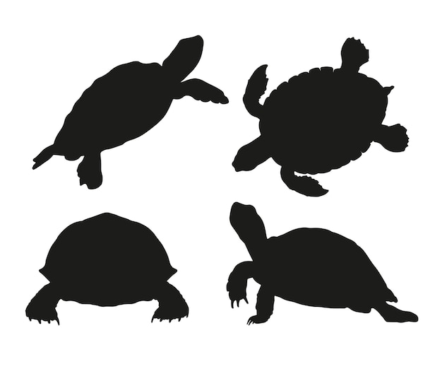 Vecteur gratuit silhouette de tortue dessinée à la main