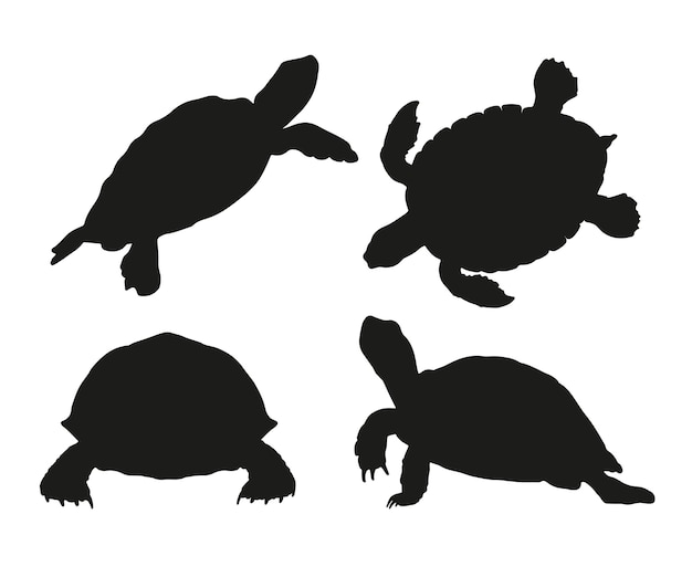 Silhouette De Tortue Dessinée à La Main