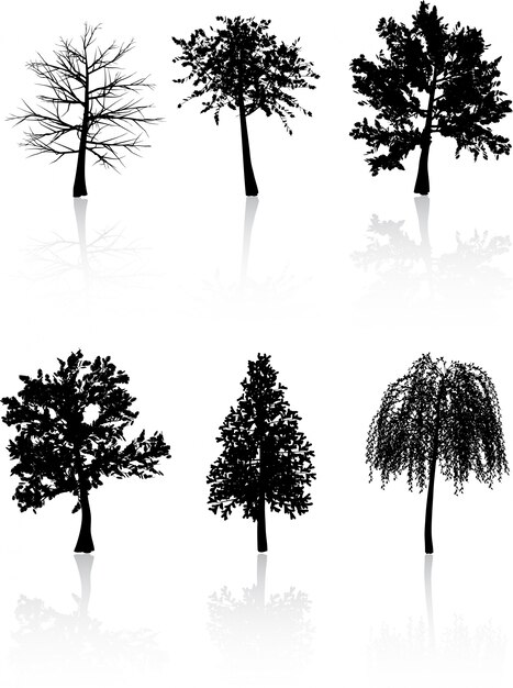 Silhouettes d&#39;arbres