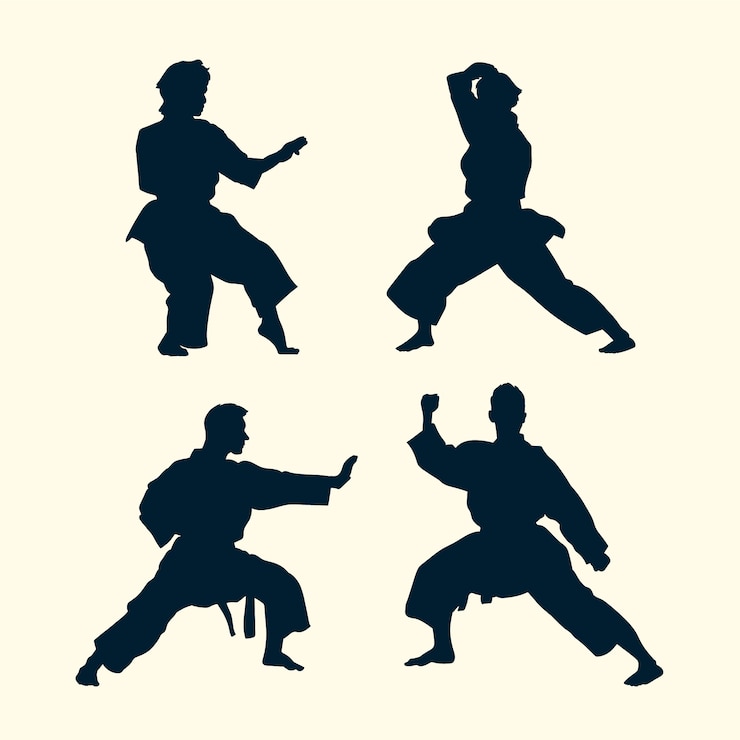 Vecteur gratuit silhouettes sport de conception plate
