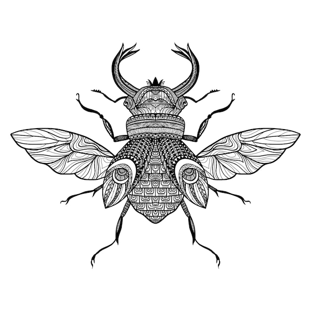Sketch Bug Décoratif