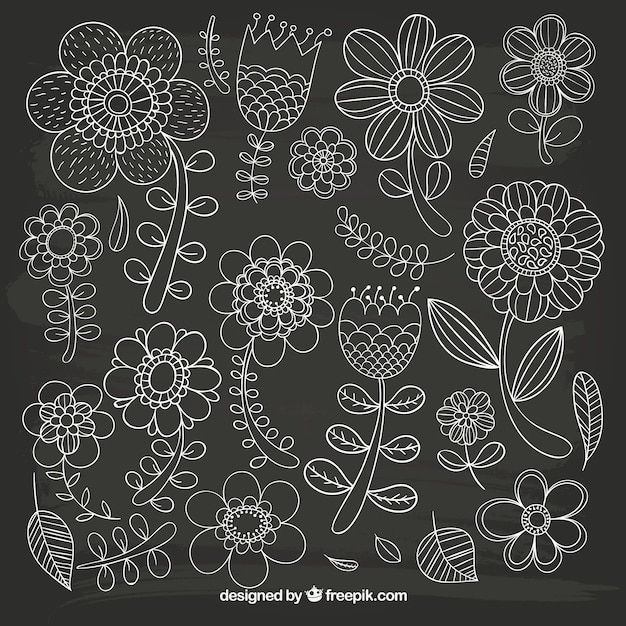 Sketchy Fleurs Sur Tableau Noir