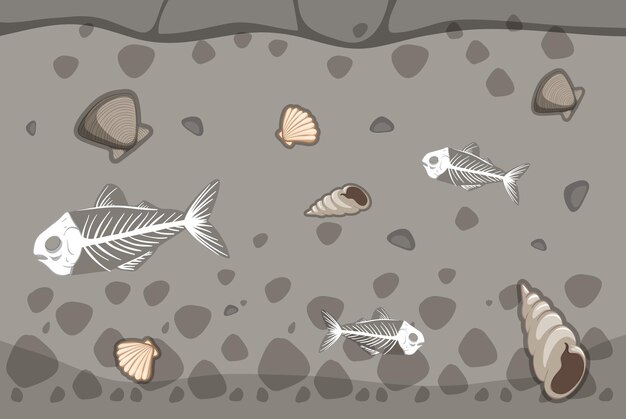 Sol souterrain avec des fossiles d'os de poisson et de coquillage