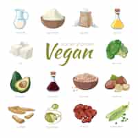 Vecteur gratuit sources de protéines végétaliennes. clipart de protéines végétales en style cartoon. pois et haricots, noisette et avocat, brocoli et soja
