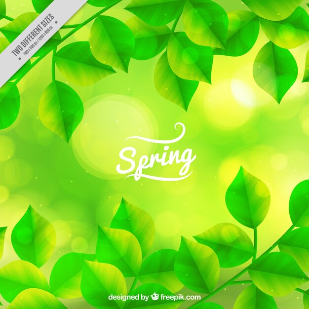Spring background avec effet bokeh