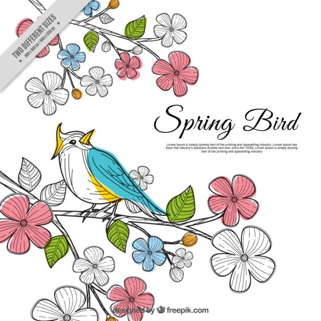 Vecteur gratuit spring bird fond