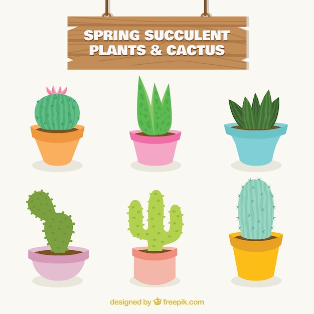 Vecteur gratuit spring collection de cactus succulent