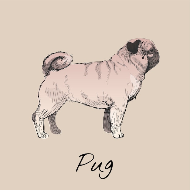 Style de dessin illustration de chien