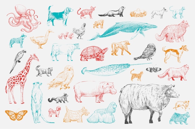 Vecteur gratuit style de dessin d'illustration de collection d'animaux